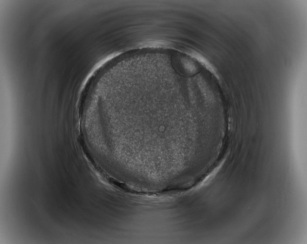 X0000086271117200704191919