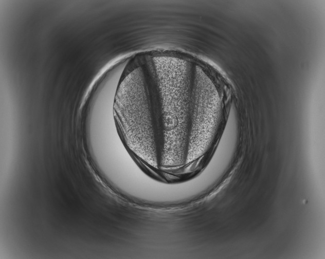 X0000086271118200704191919