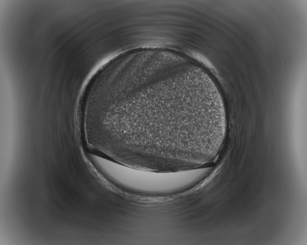 X0000086271122200704191919