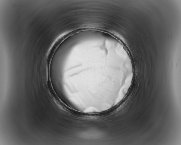 X0000086271123200704191919