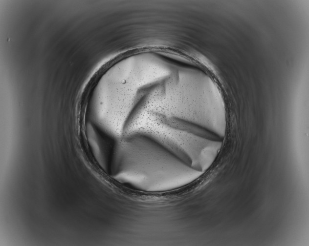 X0000086271124200704191919