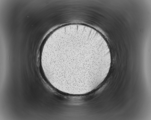 X0000086271126200704191919