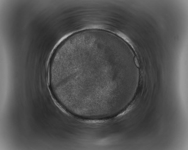 X0000086271127200704191919