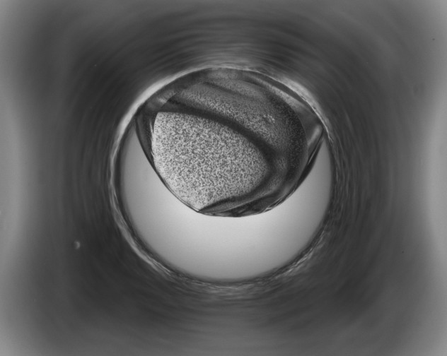 X0000086271128200704191919