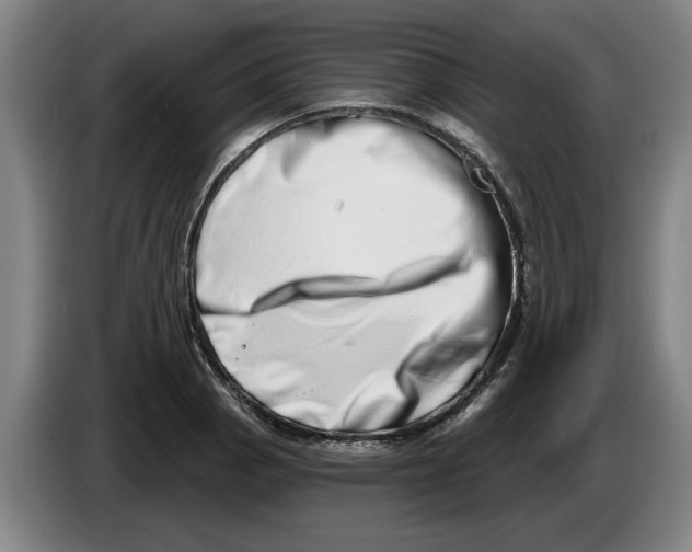 X0000086271129200704191919