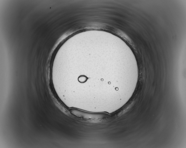 X0000086271130200704191919