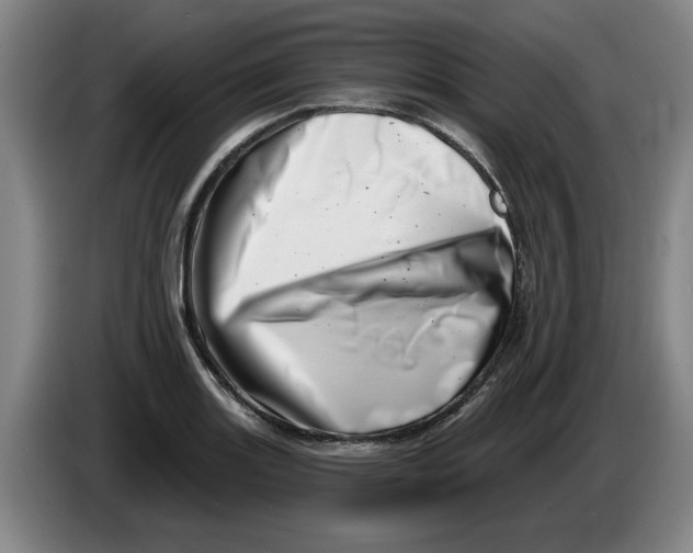 X0000086271131200704191919