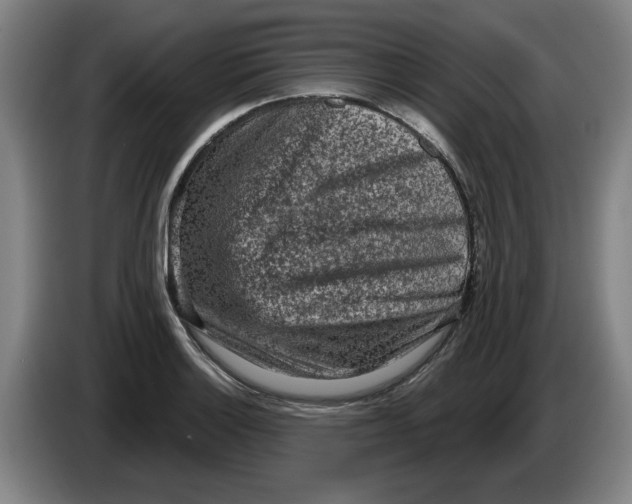 X0000086271132200704191919