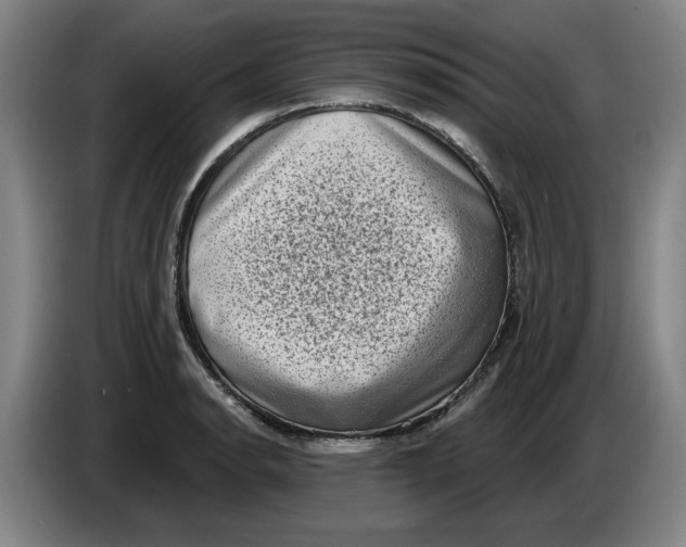 X0000086271134200704191919