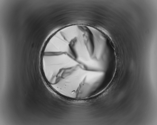 X0000086271135200704191919