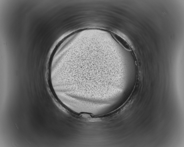 X0000086271136200704191919