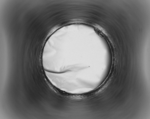 X0000086271137200704191919