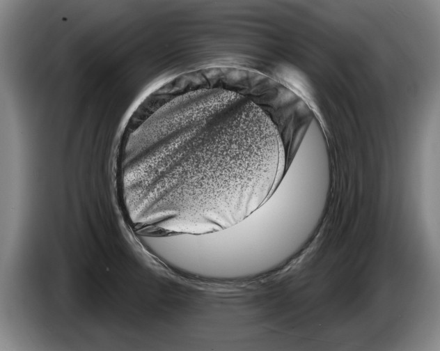 X0000086271138200704191919