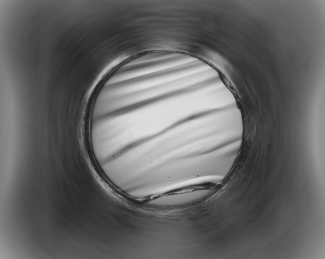 X0000086271139200704191919