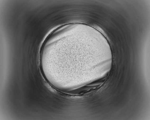 X0000086271140200704191919