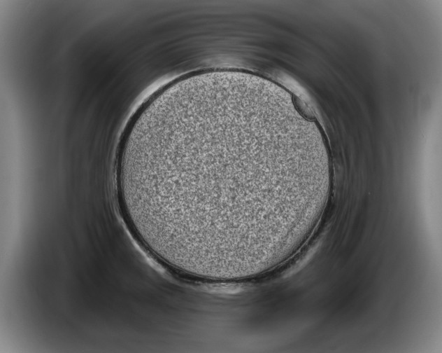 X0000086271141200704191919