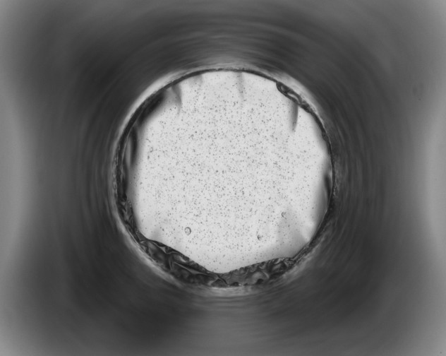 X0000086271142200704191919