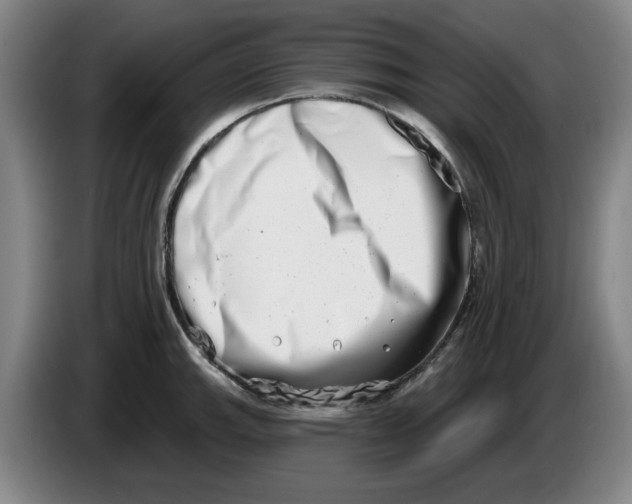 X0000086271143200704191919