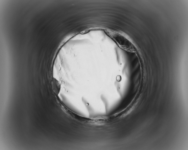 X0000086271145200704191919