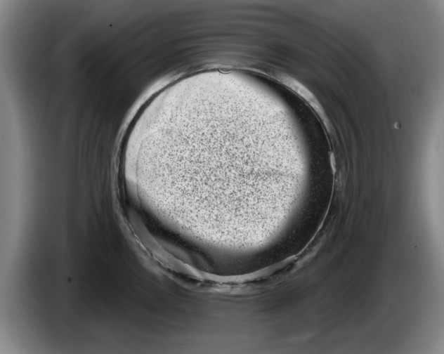 X0000086271146200704191919