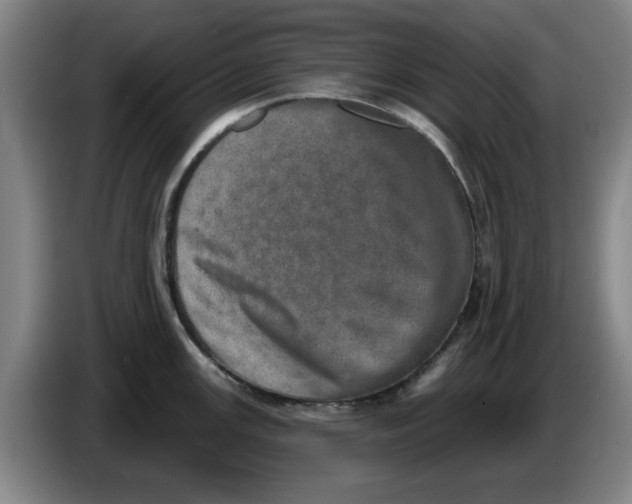 X0000086271147200704191919