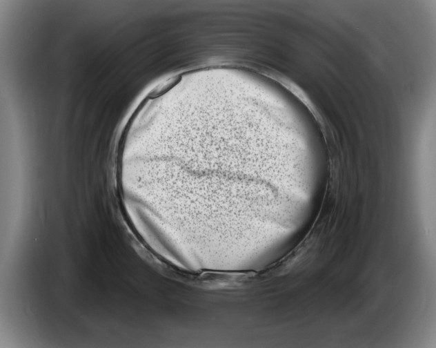 X0000086271148200704191919