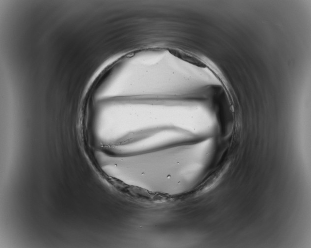 X0000086271149200704191919