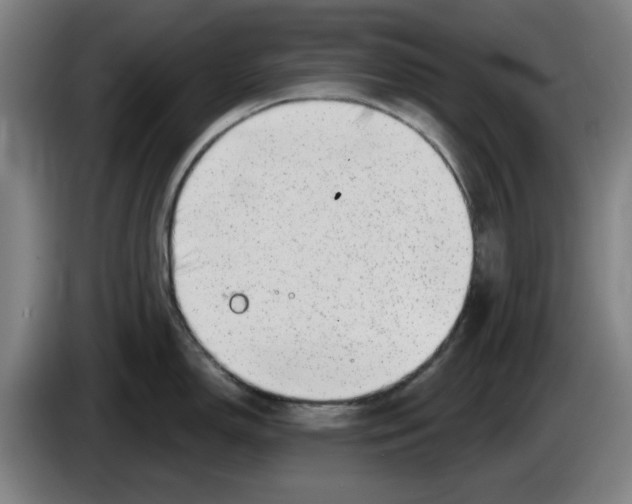 X0000086271150200704191919