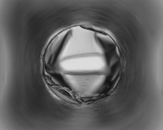 X0000086271151200704191919