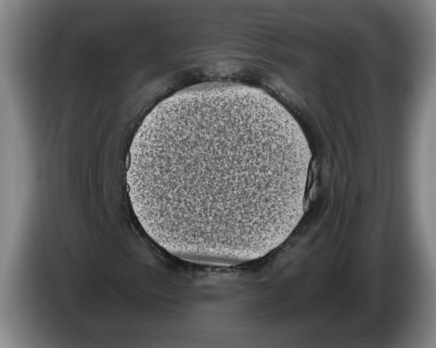 X0000086271153200704191919