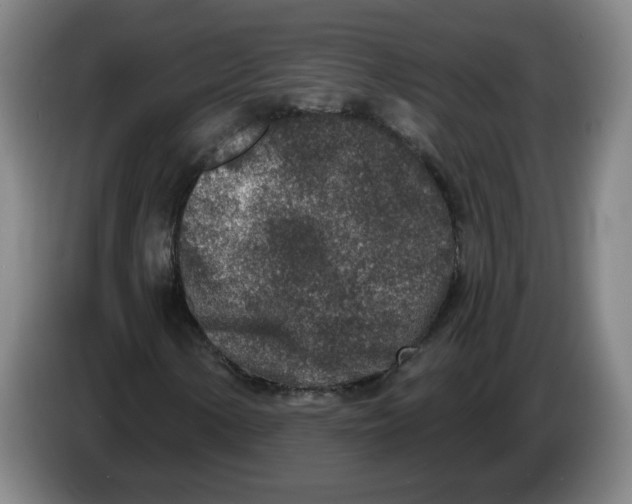 X0000086271154200704191919