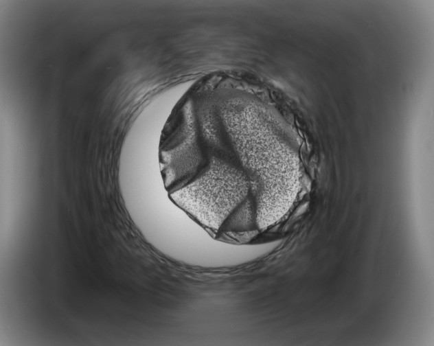 X0000086271157200704191919