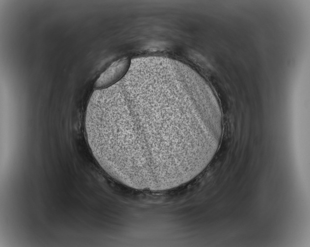 X0000086271158200704191919