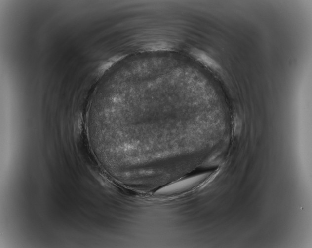 X0000086271161200704191919