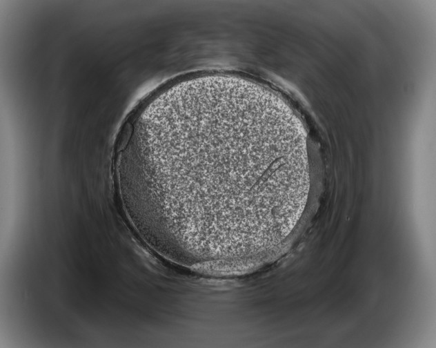 X0000086271168200704191918