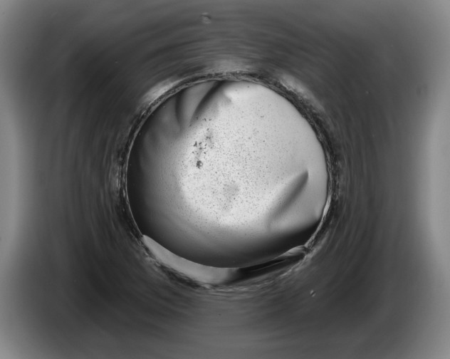 X0000086271169200704191918