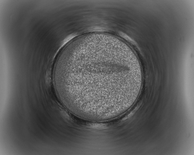 X0000086271170200704191918