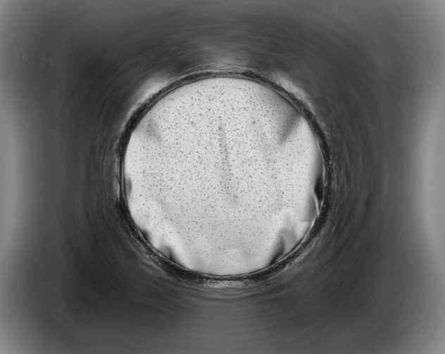 X0000086271171200704191918