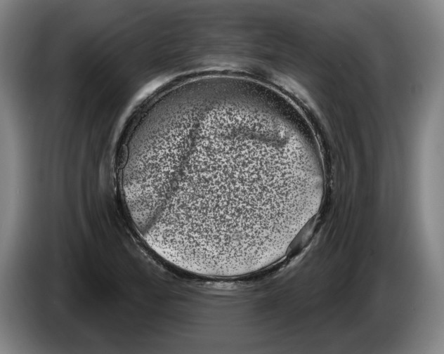 X0000086271172200704191918