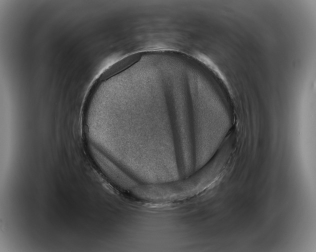 X0000086271173200704191918