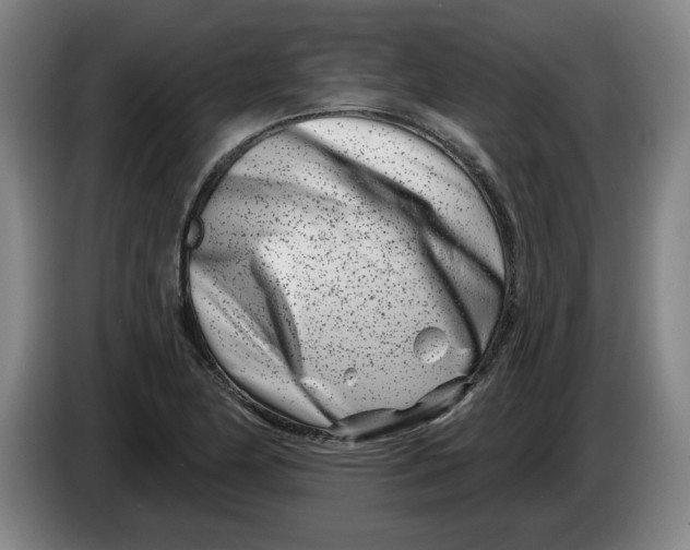 X0000086271174200704191918