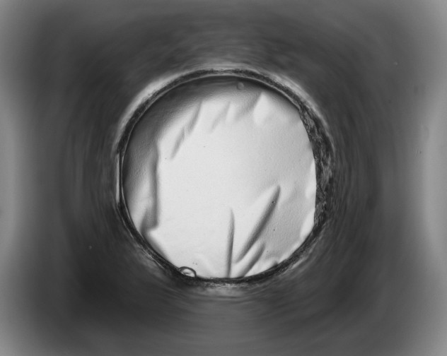 X0000086271175200704191918