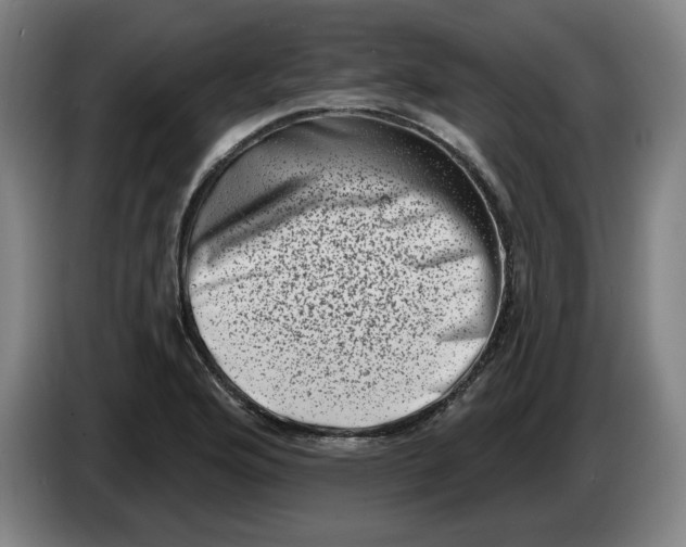 X0000086271176200704191918