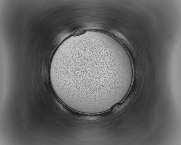 X0000086271177200704191918