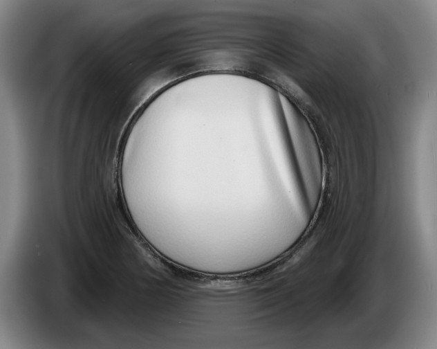 X0000086271178200704191918