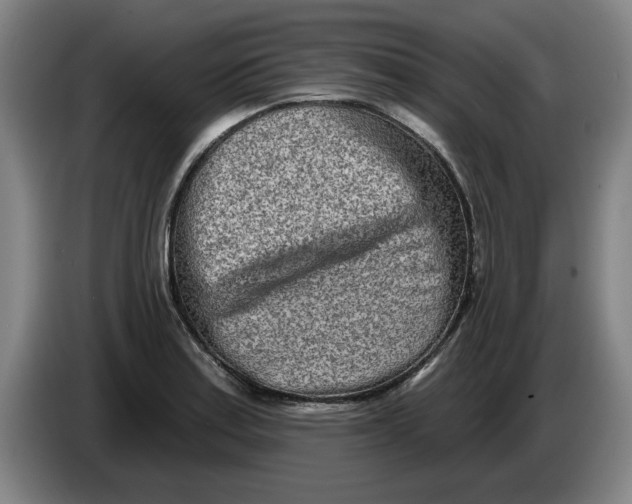 X0000086271179200704191918