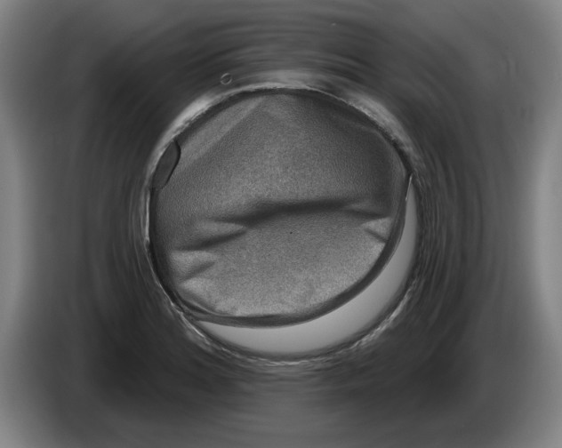 X0000086271180200704191918