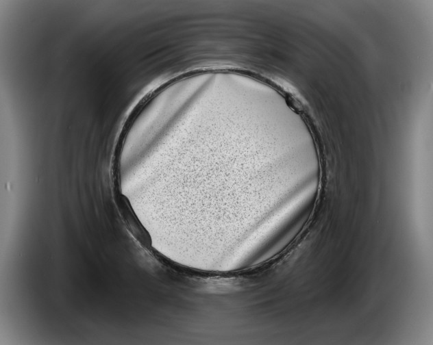 X0000086271181200704191918