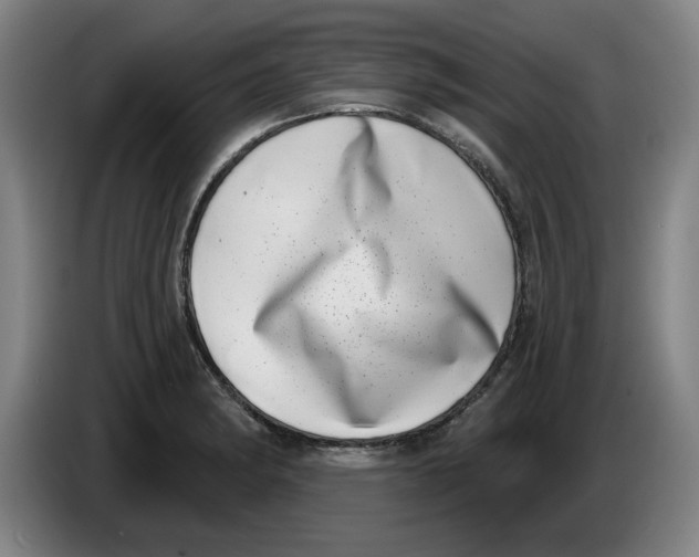 X0000086271182200704191918