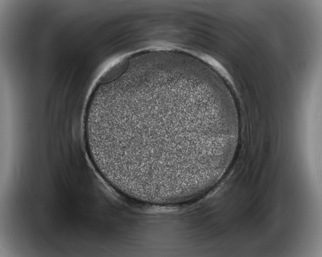 X0000086271183200704191918